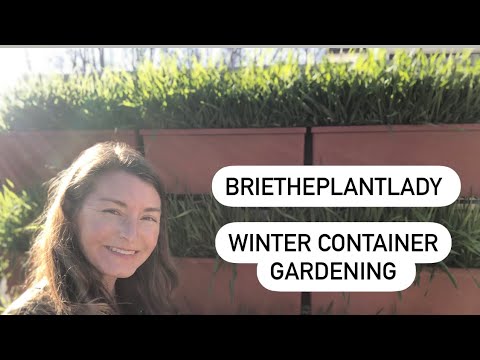 ვიდეო: ზამთრის კონტეინერების ბაღის იდეები: რჩევები კონტეინერის მებაღეობისთვის ზამთარში