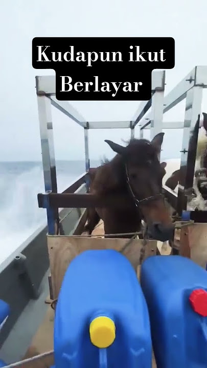 kudapun ikut Berlayar