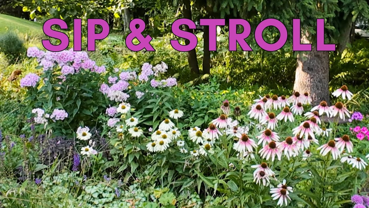 The return of flowers! 🌿 A busy week in the garden