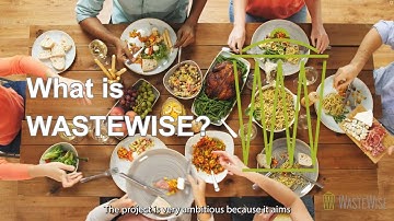 What is WASTEWISE?