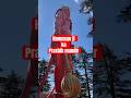 Hanuman Ji ka prasiddh mandir vlog with Rupam Chikara Bajaj #shorts
