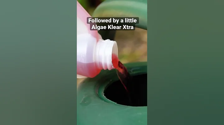 How to Get Rid of Pond Algae ✨ (without harming wildlife!)