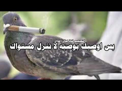 هيه هم صارت قديمه صاحبك يحجي وراك احله شاعر عراقي حزين قصير