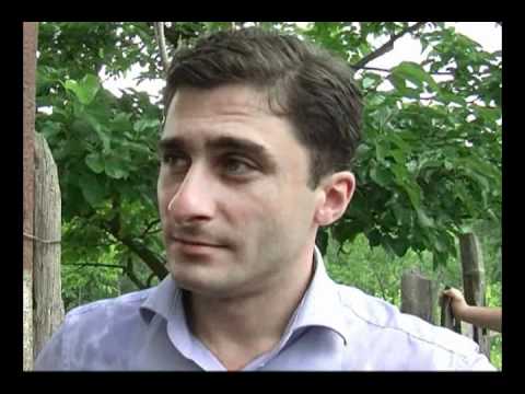 არაფრის იმედი არ გვაქვს,