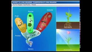 Download lagu CBSE Class 9 Science Diversity in Living Organisms 1 Classification of Living Organisms CBSE Class 9 Science Diversity in Living Organisms 1 Classification of Living Organisms