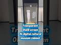 Transparent oled screen AI digital cultural relic showcase#ai #oled #museum #digital