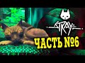 КРАСИВЫЙ Мидтаун! Stray ПРОХОЖДЕНИЕ ЧАСТЬ №6!