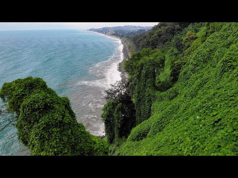 Video: Botanični vrt (Botanička bašta) opis in fotografije - Črna gora: Kolašin