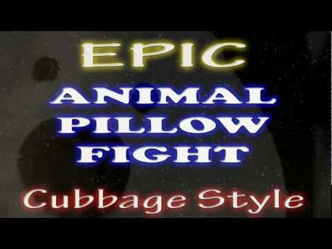 EPIC Animal Fillow Fight - CUBBAGE STYLE!