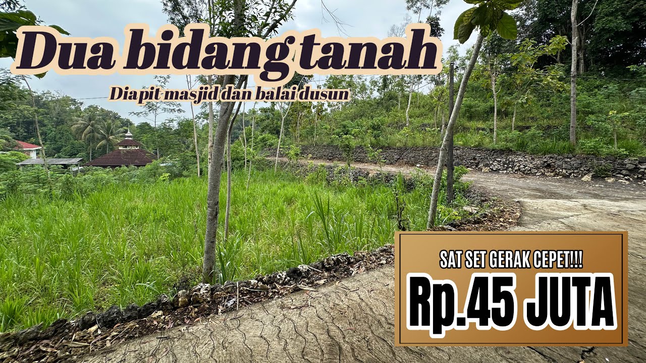 TERJUAL❌Dijual 2 bidang tanah dengan status pekarangan dan tegal dikawasan padat pemukiman