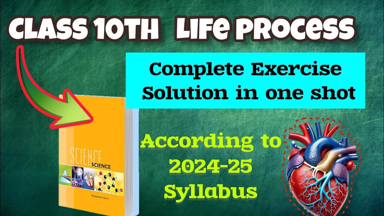 Life Processes | Complete NCERT Exercise Solution in 1 Video | Class ...