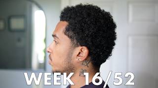 1 Year Hair Growth Journey: Time for a Leave In Conditioner (Week 16/52)