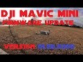 DJI Mavic Mini Firmware Update v0300 Flight Test & Review