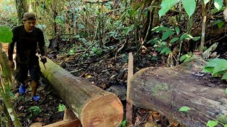 Download Lagu Kayu ulin..!! Kayu terlupakan yang di anggap sampah MP3 Download Lagu Kayu ulin..!! Kayu terlupakan yang di anggap sampah MP3