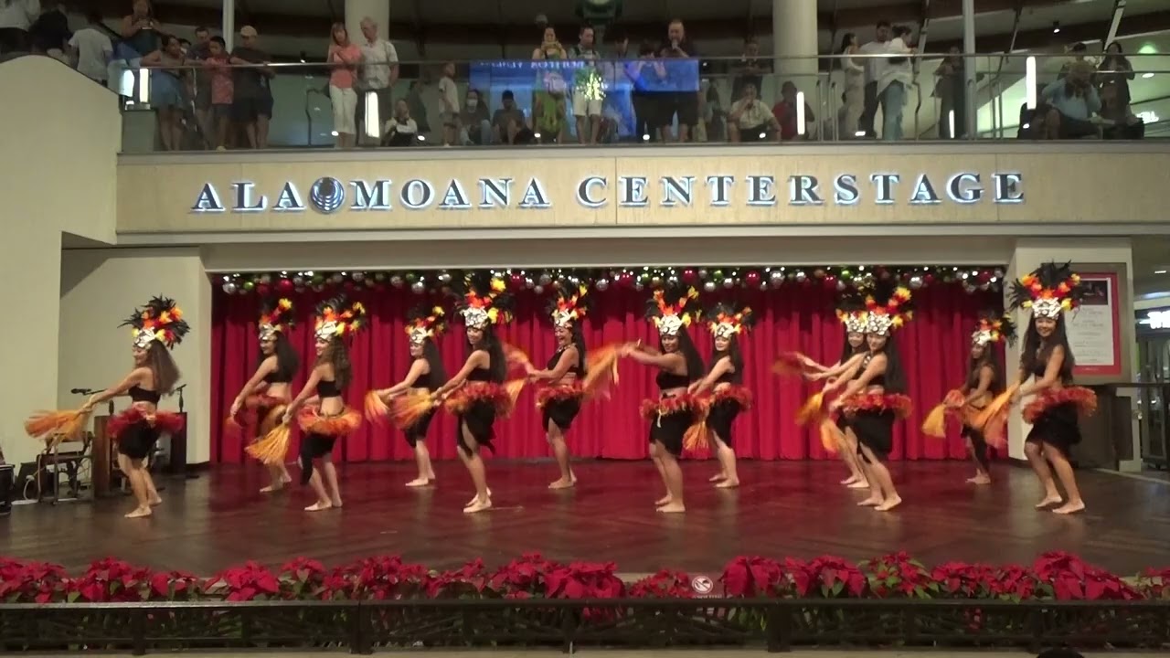 Tuamotu Api - Jungle