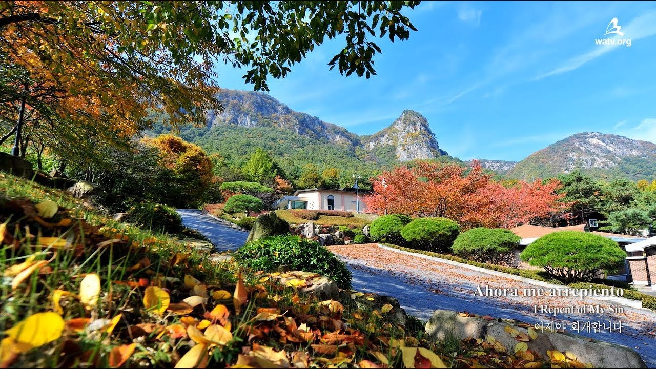 〈Cántico nuevo〉 Ahora me arrepiento〖 IDDSMM, Ahnsahnghong, Dios Madre 〗