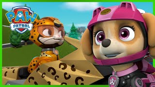 CAT PACK STOP MEOW MEOW AND MORE - PAW PATROL - CARTOONS FOR KIDS COMPILATION