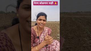 शेतकरी 👑#farming#trending#shorts#sheti#farmlife#viralshort#marathimulgi#maharashtra#marathi #short