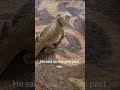 fthe stare at the end 👀”