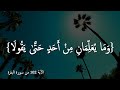 وما هم بضارين به من أحد إلا بإذن الله Quran Foryoupage سعد الغامدي 
