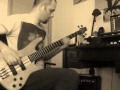 Red Hot Chili Peppers - Aeroplane bass cover