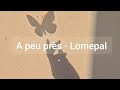 A peu près - Lomepal lyrics [eng/vostfr]