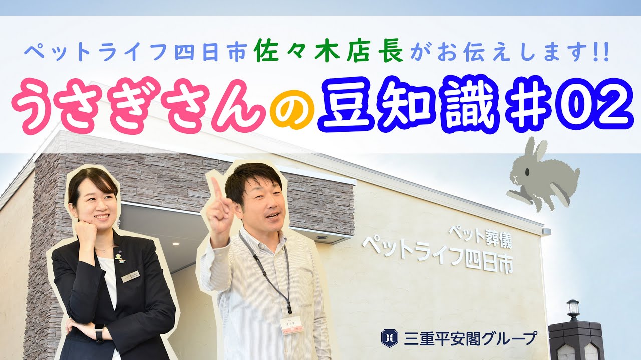 うさぎさんについて🐰の豆知識02 - YouTube