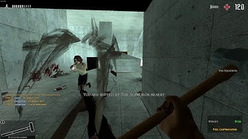 Zombie Panic! Source Pro Gameplay Redqueen Sledgehammer Destruction