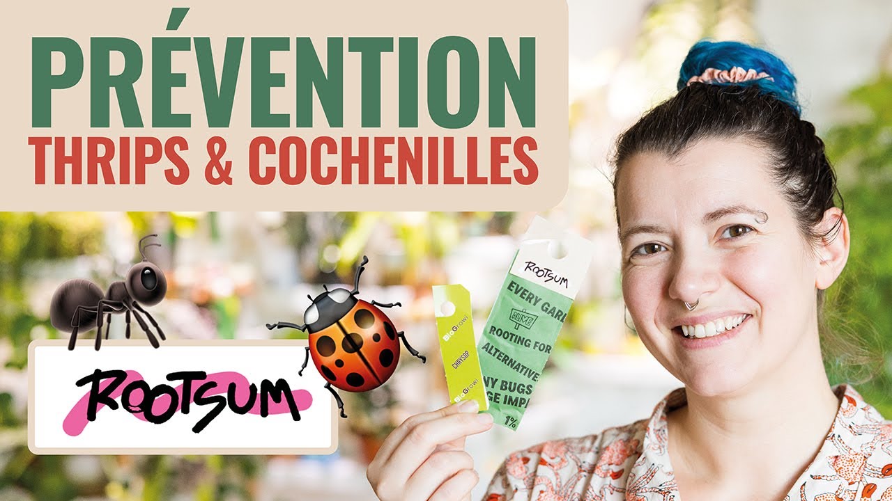 👩‍🌾 Prévention contre les Thrips et Cochenilles sur mes plantes avec Rootsum 💚