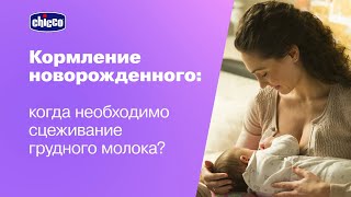 Когда необходимо сцеживание грудного молока? Ответы от врачей 0+