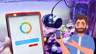 Explained: A Guide To Jecod DMP “VorTech Clone” Wavemaker iOS/Android App Control & Programming screenshot 5