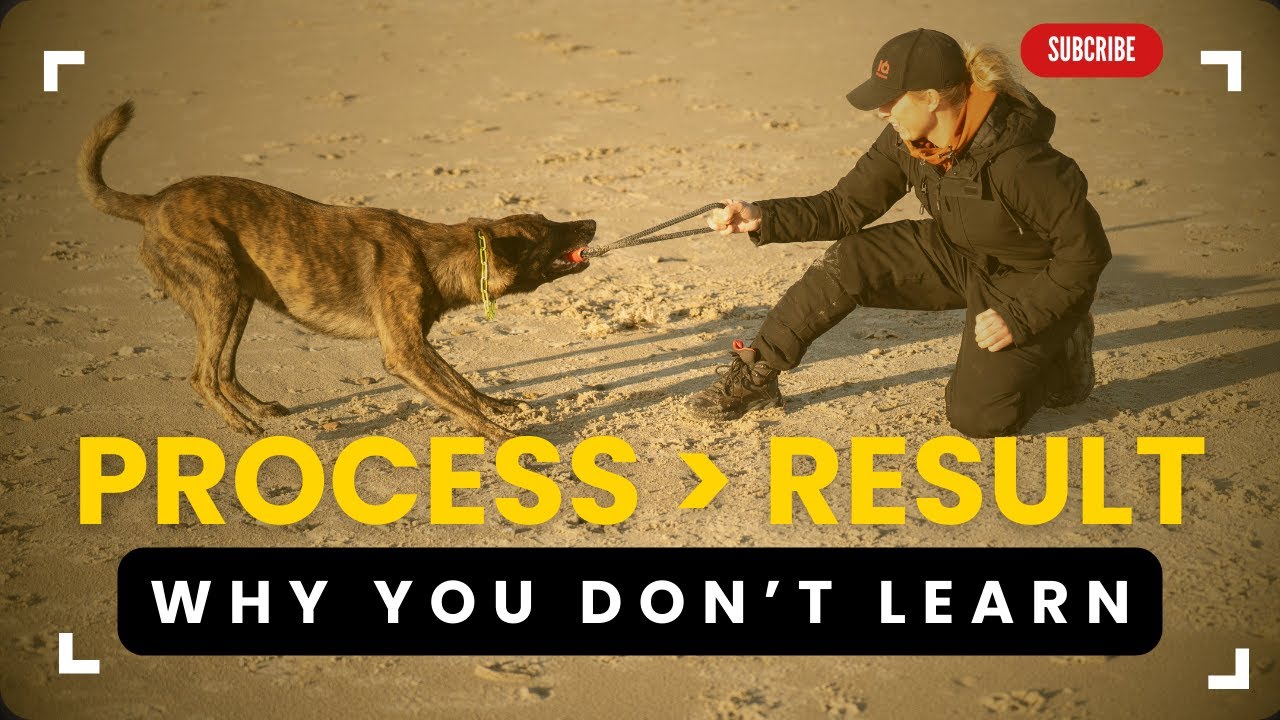 The Process Teaches More Than The Results in Dog Training