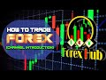 Forex Trading For Beginners, How To Trade Forex (Introduction Video)