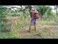 FULL POWER Grass Cutter Machine 🔥 Ultimate Extreme Cleaning!