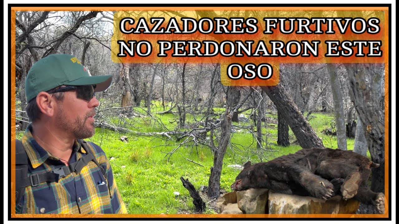 AVENTURA 571”  CAZADORES FURTIVOS