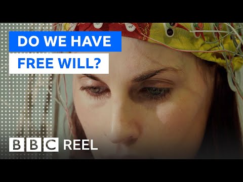 The strange neuroscience of free will - BBC REEL