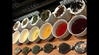 Discover My Favorite Teas from Twinings