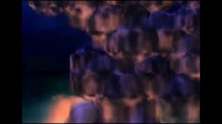 Dark Cloud - Main menu sounds