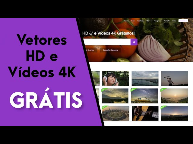 Videezy - Vetores HD e Vídeos 4K Gratuitos! 