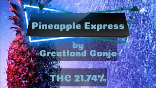 Pineapple Express Strain Review