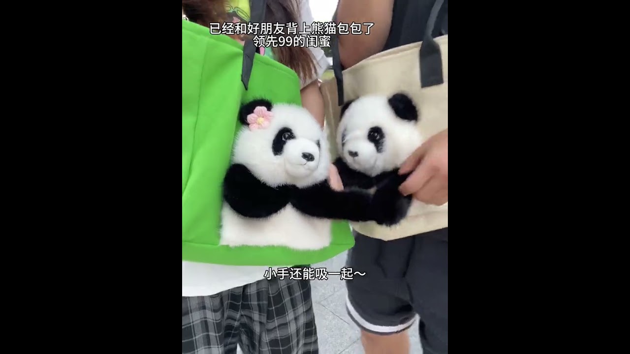 Who can resist a panda bag that can support the forehead? Try something new. Bags are so popular