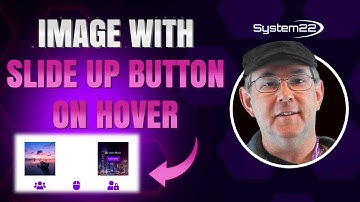 Divi Theme Image With Button Slide Up On Hover
