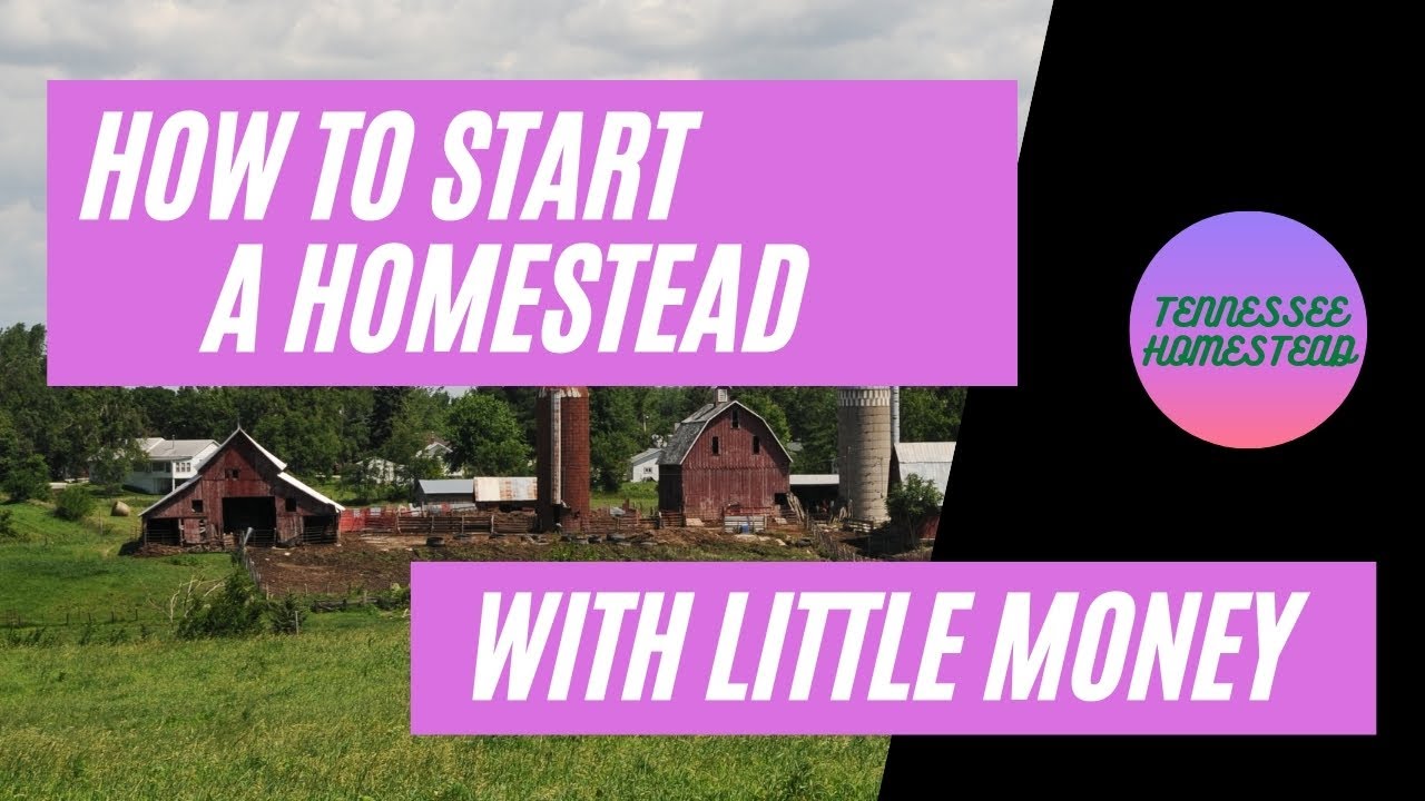 How To Start A Homestead With Little Money | Homesteading For Beginners ...