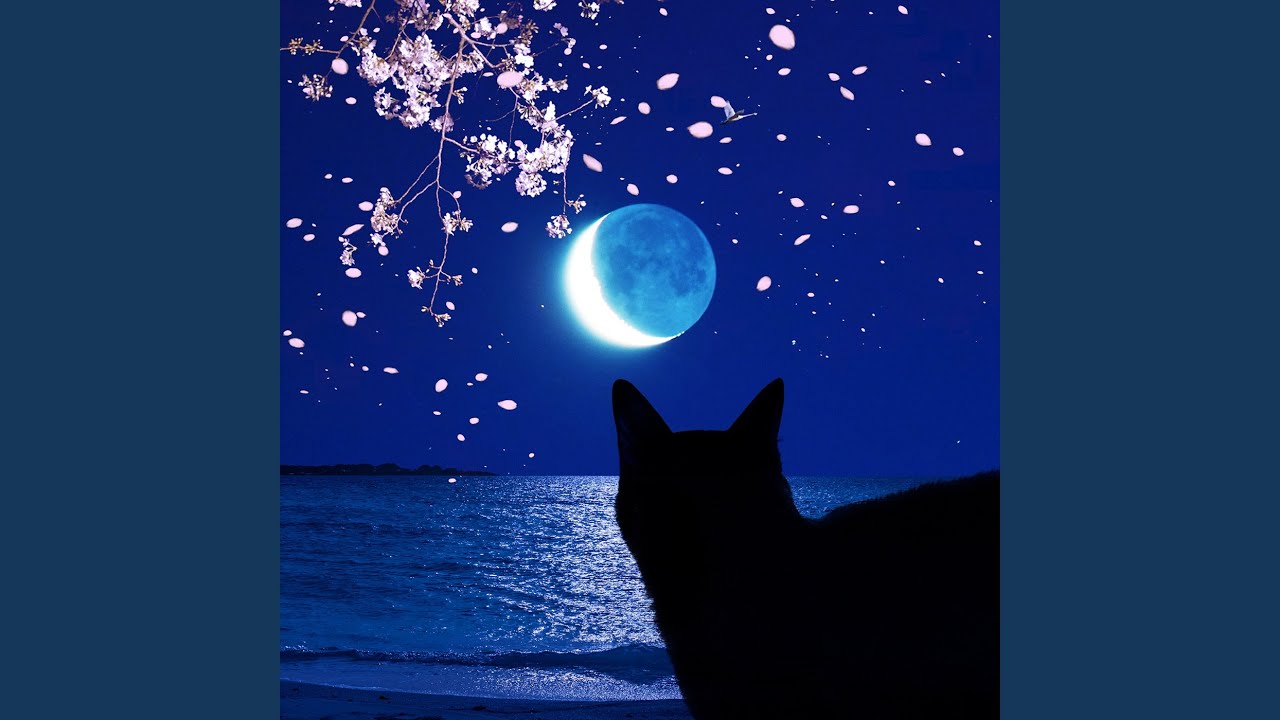 フリーダム フリーダム パラダイスロスト