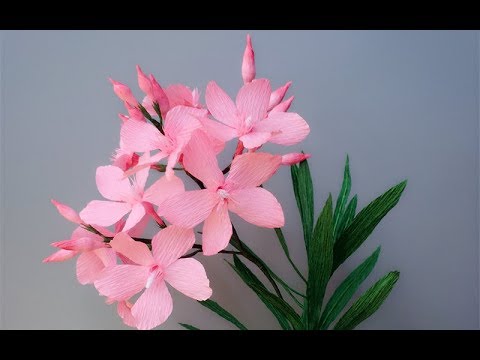 ABC TV | How To Make Nerium Oleander Paper Flower From Crepe Paper ...