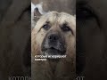 Что происходит на острове в центре Астаны?
