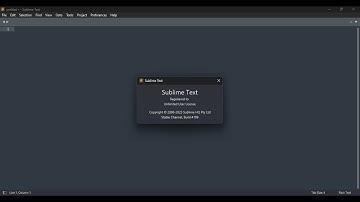 Sublime Text 4 (Build 4169)