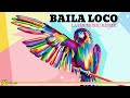 Baila loco mix  salsaloco compilation