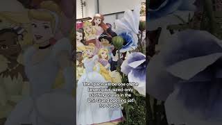 the BIGGEST Plus Size Store in America opens June 13 (soft opening) & June 14th (Grand Opening). screenshot 4