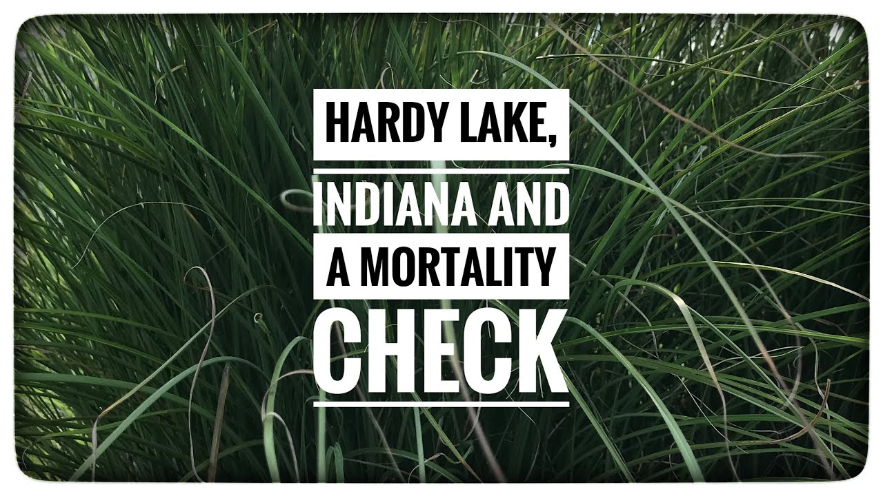 Hardy Lake IN and a Mortality Check